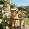 Adjustable Pet Sun Hat Lace Decor Dog Sun Protection Cap Fashion Cat Sunshade Hat  Walking Hiking