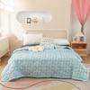 2025 Summer Thin Blanket Printing Bed Quilt Summer Cool Quilt Double Blankets Comforters Skin-friendly Cotton Thin Quilt Soft Bedding Home Textile