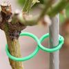 Climbing Plant Support Clips - Figure-Eight Garden Buckles for Stem Support and Vine Fixing