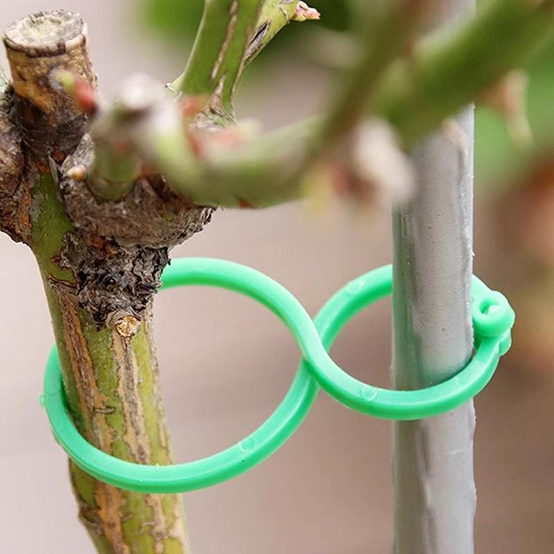 Climbing Plant Support Clips - Figure-Eight Garden Buckles for Stem Support and Vine Fixing