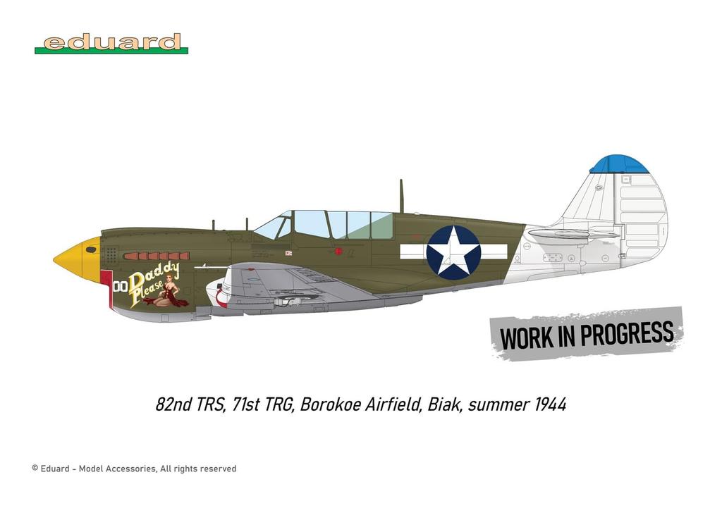 Eduard Dual Combo Royal Class Warhawk Plastic Model Kit EDUR0025 1/48 P-40N (Airplane)