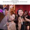 Vbestlife Professional Karaoke Microphone Set Wireless Handheld Dynamic Microphone with LED Display Easy Setup