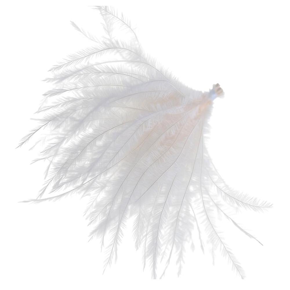 50Pcs Multicolor Ostrich Feathers 5-8cm Feathers Trim  for Home Wedding Party