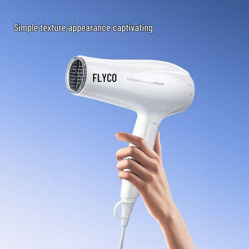Feike 2000W High-Power Hair Dryer with Constant Temperature for Home Hair Care