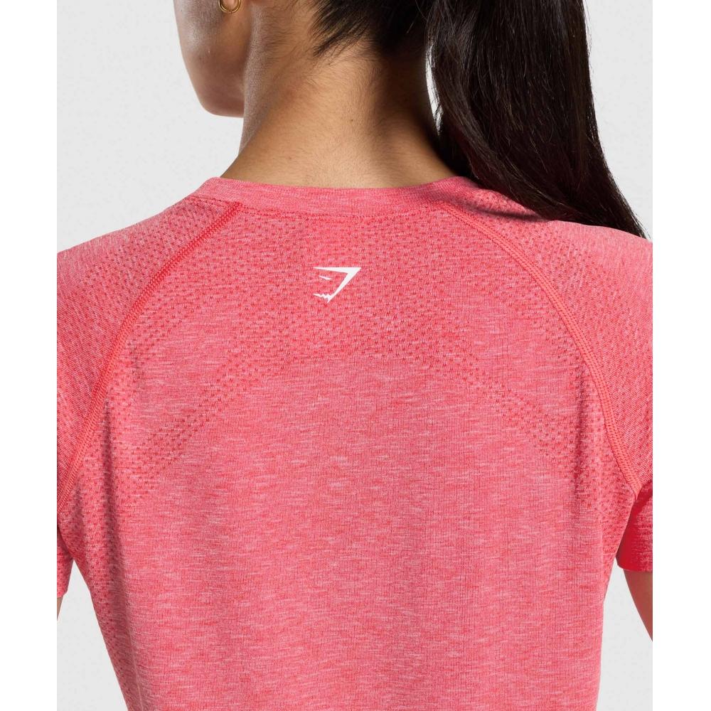 Gymshark ViTal Seamless 2.0 LighT T shirT Coral Red Marl B2a4i Rb0z