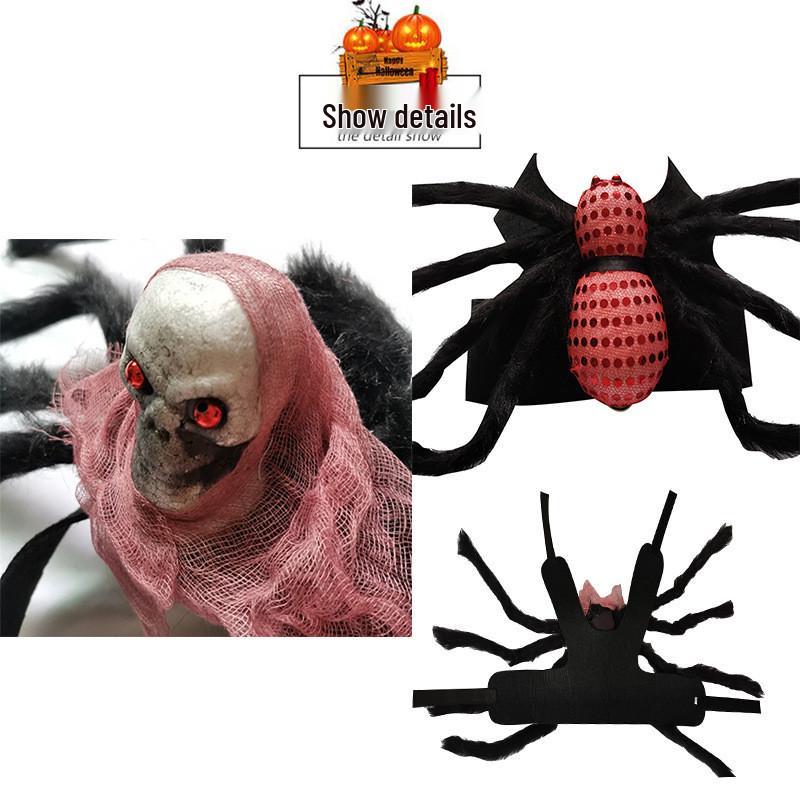 Spider and Skull Costume for Small to Medium Pets