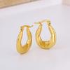 Personalized Simple U-shaped Earrings Niche Versatile Geometric Jewelry Lace Engraving Texture Titanium Steel Gold-plated Stud Earrings