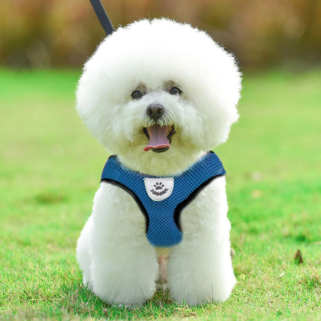 Polyester Pet Cat Dog Harness Kitten Mesh Vest Walking Lead Leash for Training