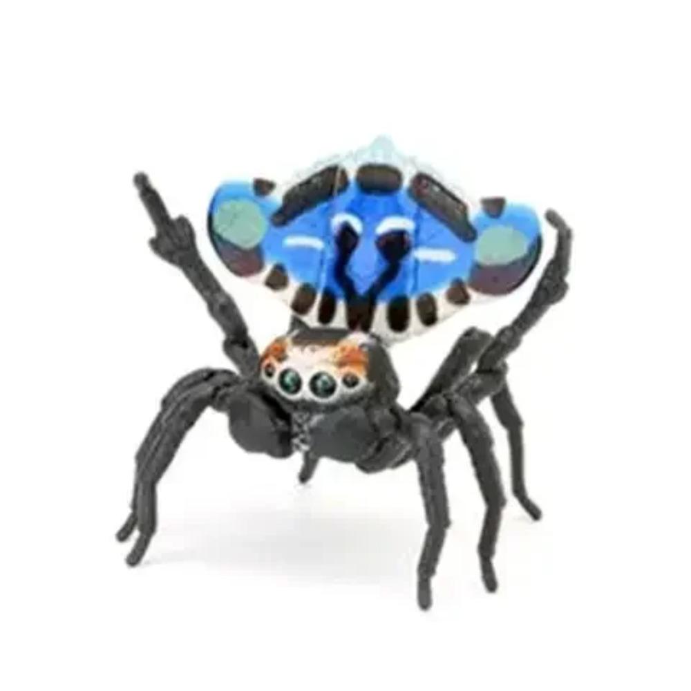 Japanese Genuine  Twisted Egg Blind Box Biological Picture Book Series Simulation Insect 1:1 Spider Mantis Bumblebee