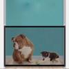 Indoor Durable Outdoor Child Barrier Fences Kids Supplies Baby Safe Guard Door Pet Gate Safety