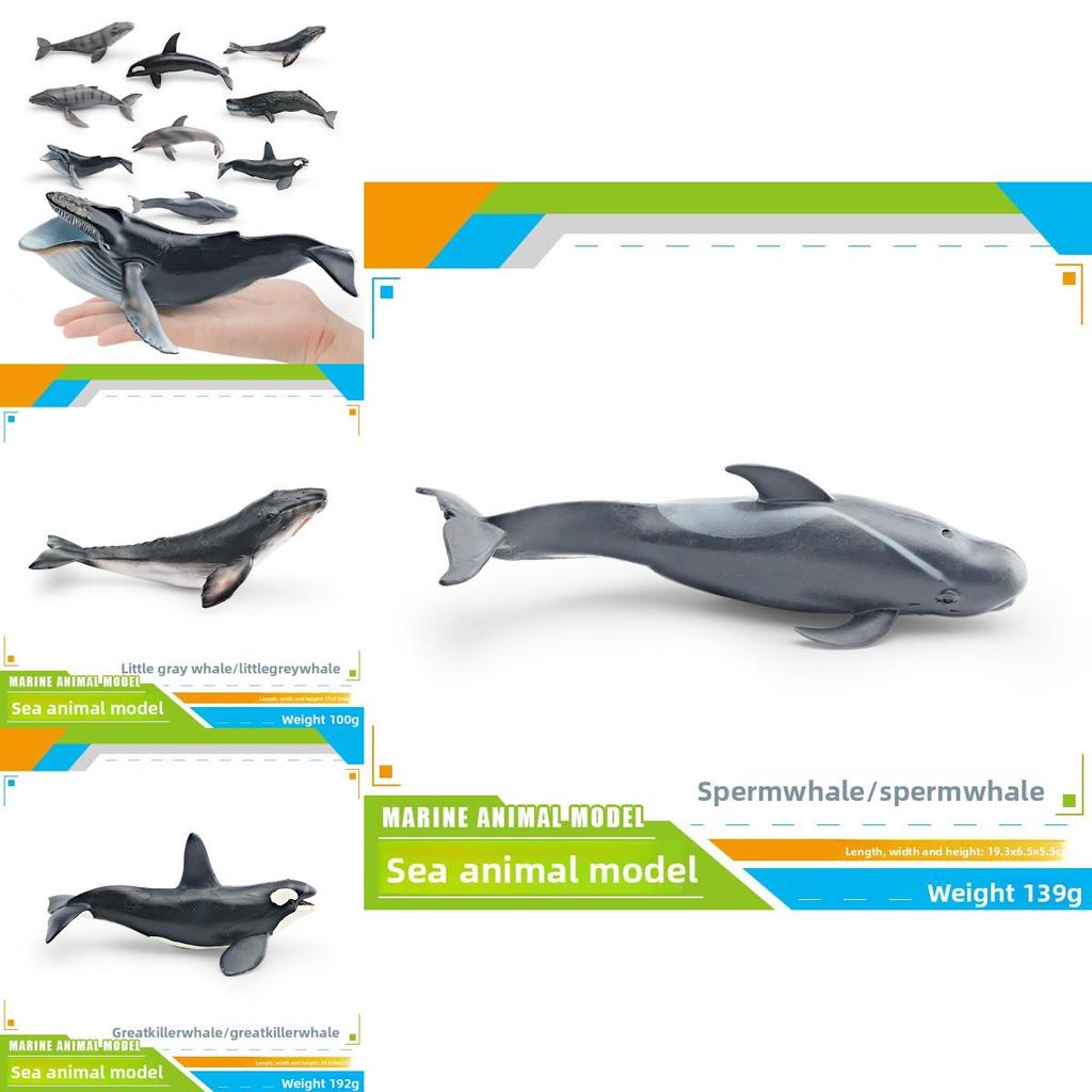 Childrens Marine Animal Pvc Model Set With Realistic Cetacean Figures For Educational Play