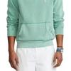 Polo Ralph Lauren Logo Embroidered Hoodie Men Hoodies Green 710793020-009