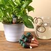 3Pcs Indoor Plant Self Watering Spikes Auto Drip Irrigation Supplies Convenient Water System for Balcony Desktop Green Plants