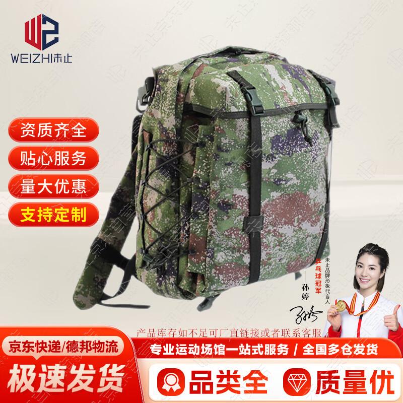Wei Zhi 06 Tactical Training Backpack
