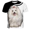 Summer Round Neck Animal Dog Pattern 3D Print Top Fashionable Casual Short Sleeved Men's T-shirts