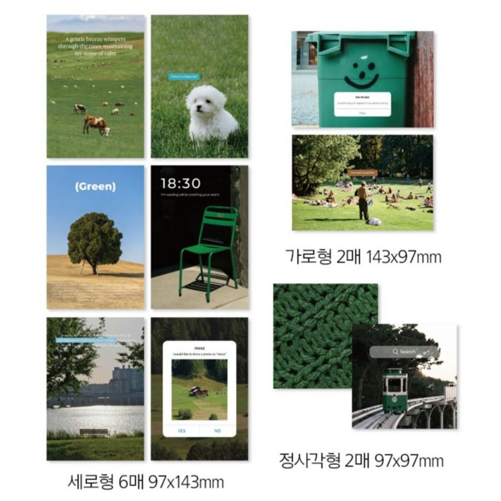 Rico's Object Deco Photo Postcard Set, Natural Green, 1 Set