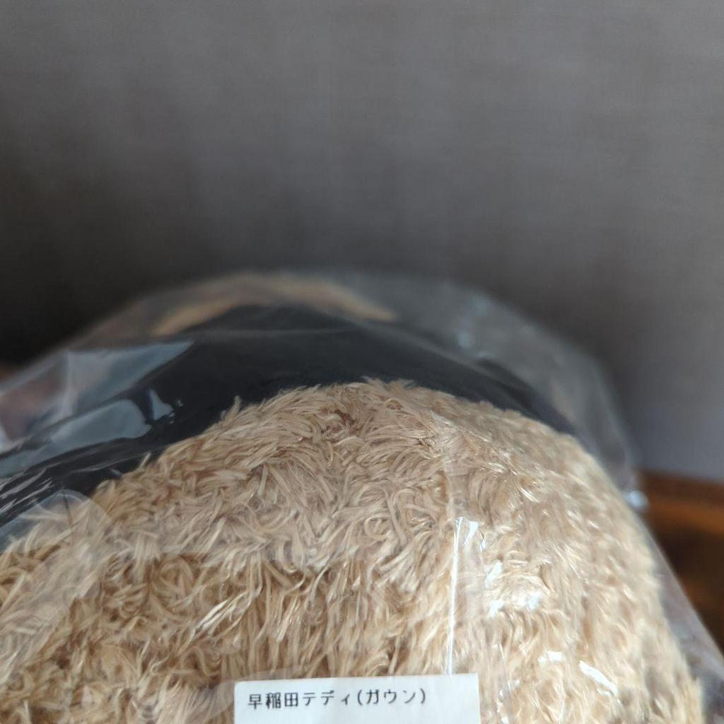 [USED] Waseda Teddy Bear - Currently Not for Sale