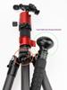 Hiking Stick Compass & Monopod Head for SLR Cameras