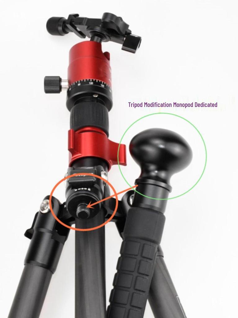 Hiking Stick Compass & Monopod Head for SLR Cameras