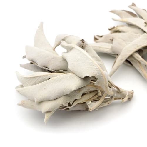 White Sage Cluster with Branches, 10g, Selected Premium Leaf, Pesticide-Free, California-Grown, Aroma White Sage