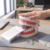 Mini Denture Shaped Stapler Denture Shape Novelty Stapler Tooth Stapler  Desktop Decoration