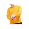 Polo Embroidered Pony Logo Fleece Crewneck Sweatshirt Men Sweatshirt Gold 710859145-008
