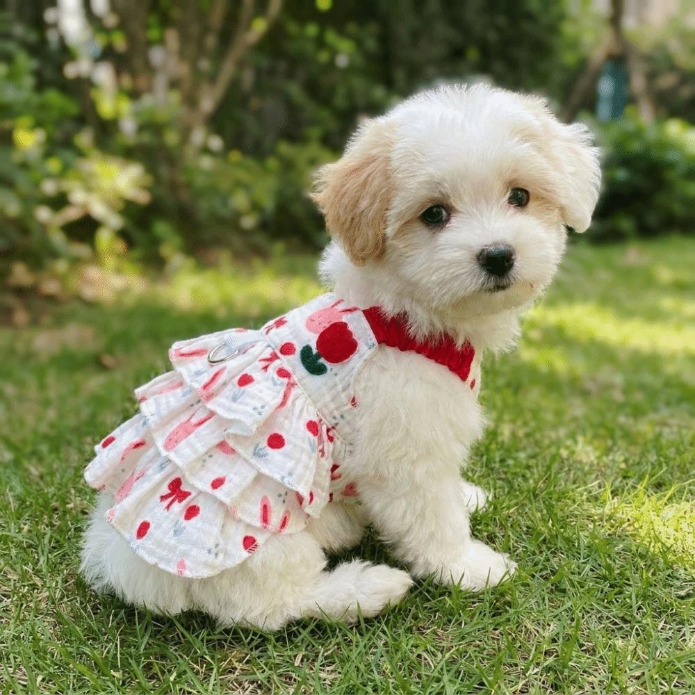 Thin Breathable Dog Cake Skirt Cotton Lightweight Dog Suspenders Dress Cartoon Comfortable Puppy Princess Skirt Daily Walk