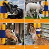 Cow and Horse Livestock Massage & Cleaning Brush