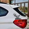 LYKX Die-Cut Vinyl Decal Eye No Fear Car Sticker Waterproof Auto Decors On Car Body Bumper Rear