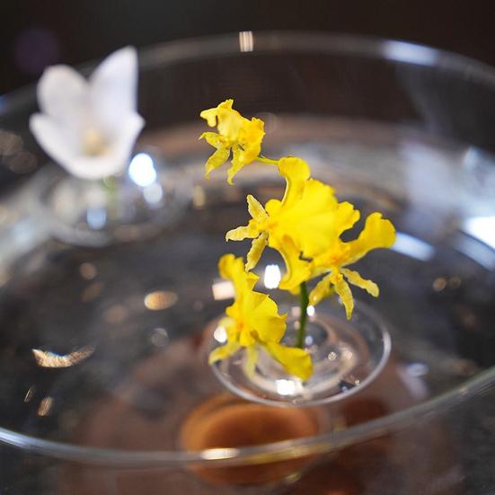 Yousheng 10/20/30Pcs Floating Floral Arrangement Holder Clear Floating Flower Display Stand Hydroponics Water Planting Flower Bowl Stem Holder