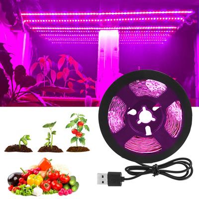 LED pěstební pásek DC 5V USB Plnospektrální LED pásky 2835SMD LED rostlinné lampy Pro vnitřní květiny, semena, hydroponické osvětlení