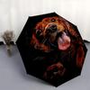 Dog, Portrait- Automatic Umbrella,Suitable for Men and Women,Suitable for Birthdays, Christmas, Gifts for Fashion Lovers0922b