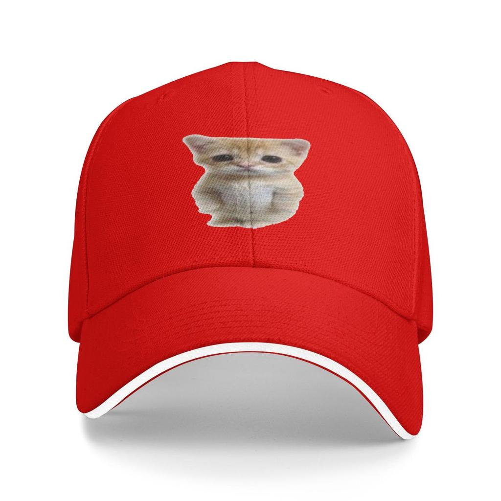 Unisex Baseball Hats El Gato Standing Cat Meme Outdoor Streetwear Summer Sports Baseball Caps Cap Casquette Polychromatic Hats
