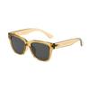 Fila Sunglasses Browncrystal 55