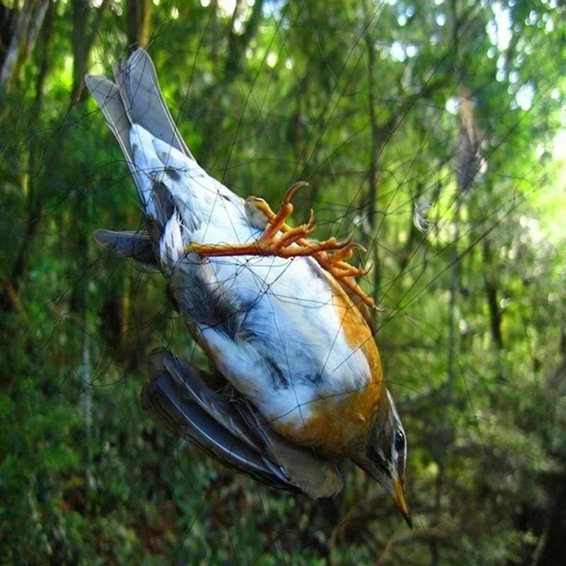 15M Orchard Bird Proof Net Greenhouse Fish Pond Breeding Protective Net Nylon Mesh Animal Proof Net Orchard Bird Blocking Net