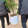 Multi-Size Thickened Breathable Grow Bags with Handles,Cultivation Pot Grow Bag