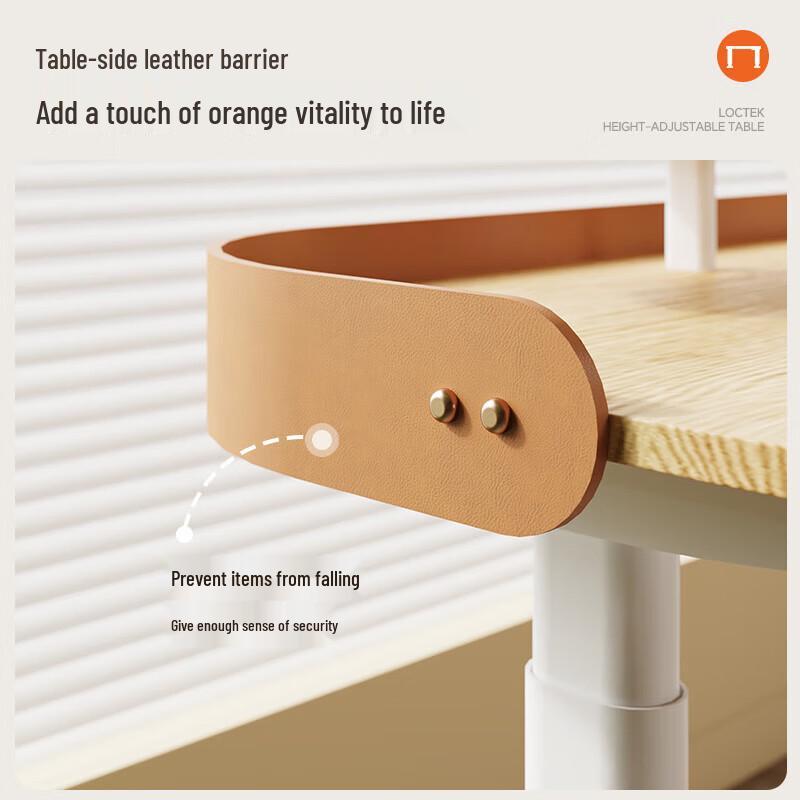 Loctek SE3 Smart Electric Standing Desk