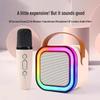 K12 Portable All-in-One Bluetooth Speaker for Singing