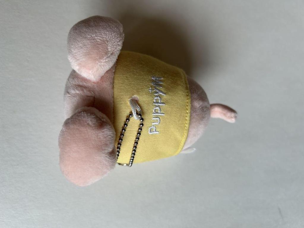 [USED] StrayKids Bag Charm Puppym