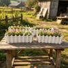 Small Planter Box Greenery Container Flower Arrangement Creative Fence Flowerpot  Porch
