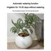 Pot de fleurs hydroponique sphérique en plastique avec réservoir d'eau Pot de fleurs à arrosage automatique Bureau