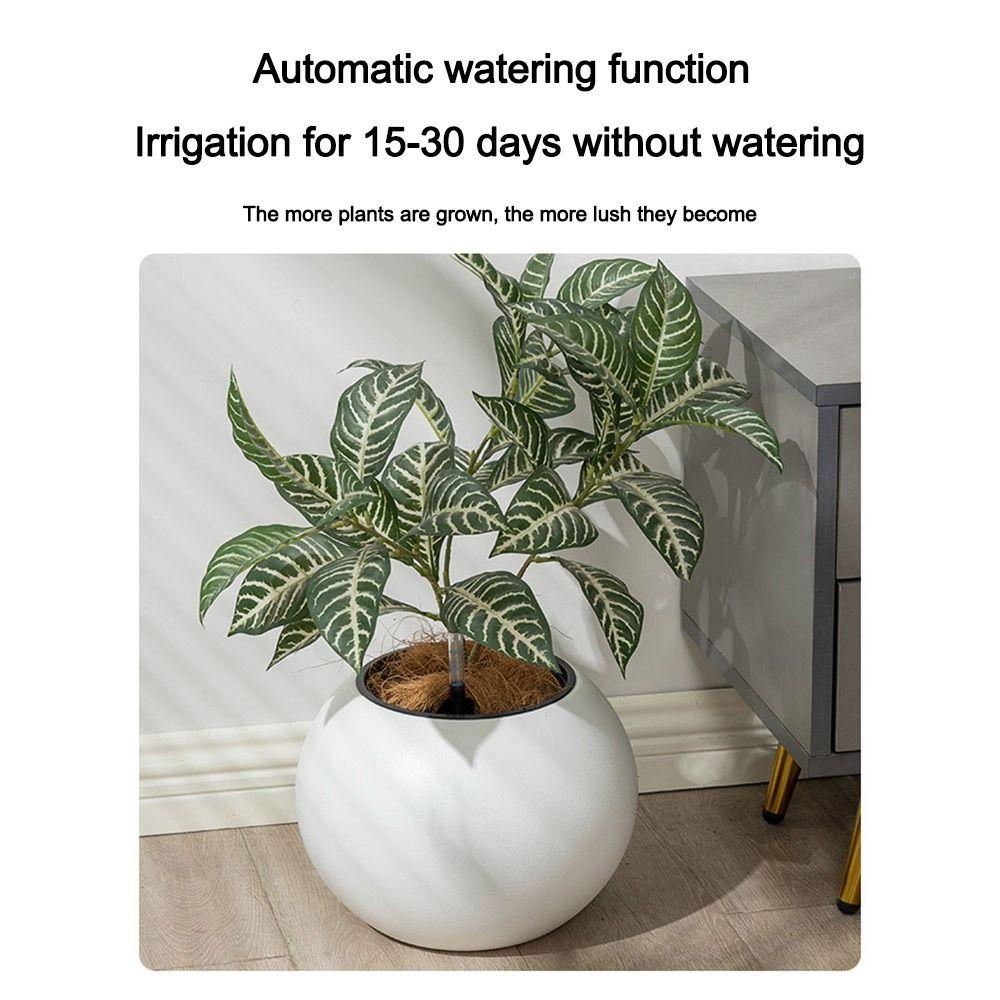 Pot de fleurs hydroponique sphérique en plastique avec réservoir d'eau Pot de fleurs à arrosage automatique Bureau