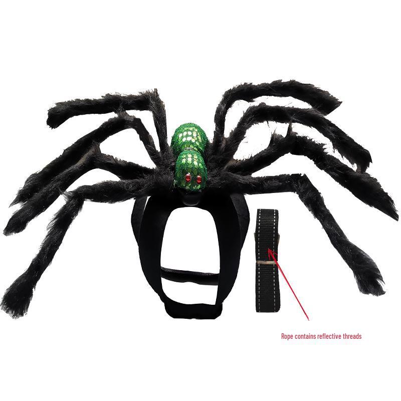 Spider and Skull Costume for Small to Medium Pets