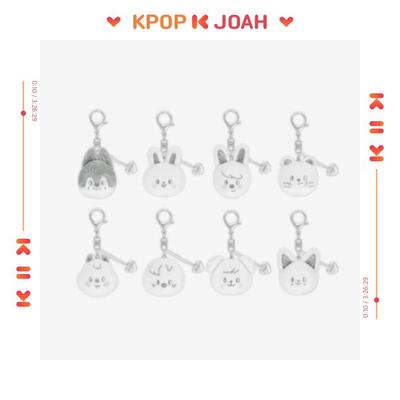 (SKZOO FACE KEYRING SILVER Ver.) [celebrATE] MD
