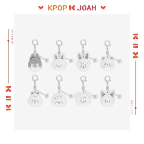 (SKZOO FACE KEYRING SILVER Ver.) Stray Kids [celebrATE] MD