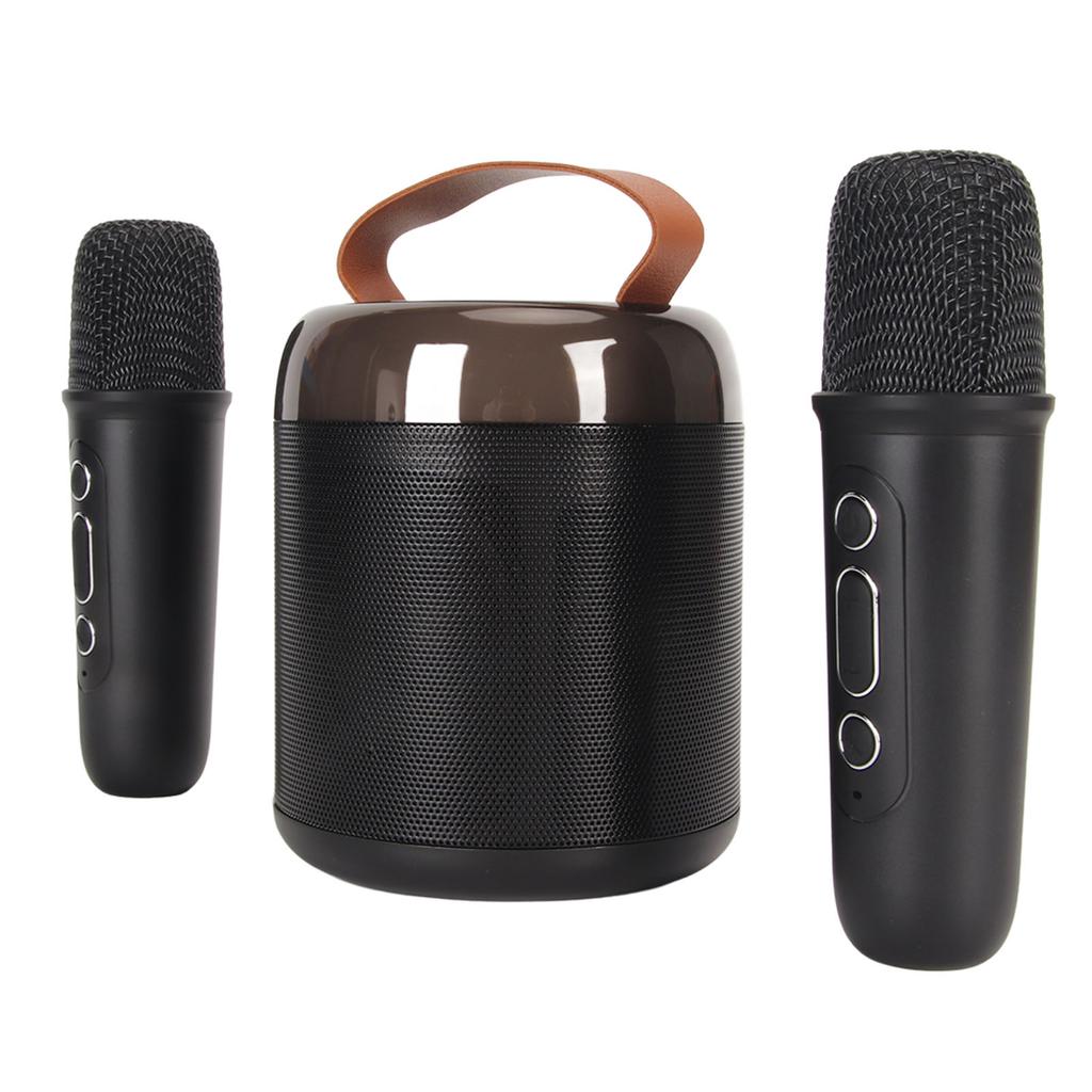 Wireless Karaoke Speakers RGB Light  5.3 Speaker with 2 Wireless Microphones Portable Karaoke Machine for Family Party