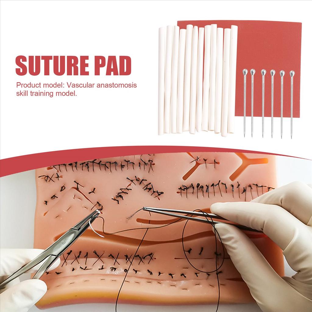 BHBL Complete , Microscopy Vascular Anastomosis Suture Practice Model Training , Does Not Easily Break