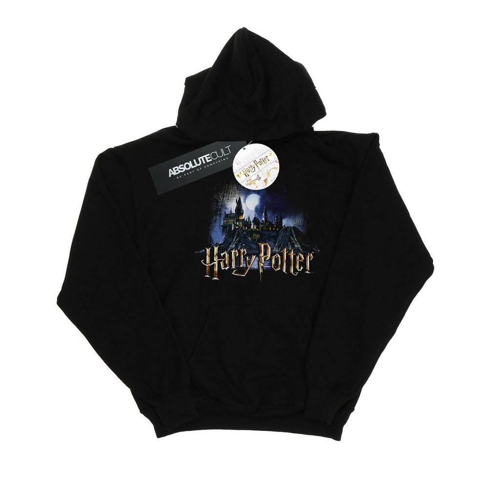 Hary Potter Boys Hogwarts Castle Hoodie