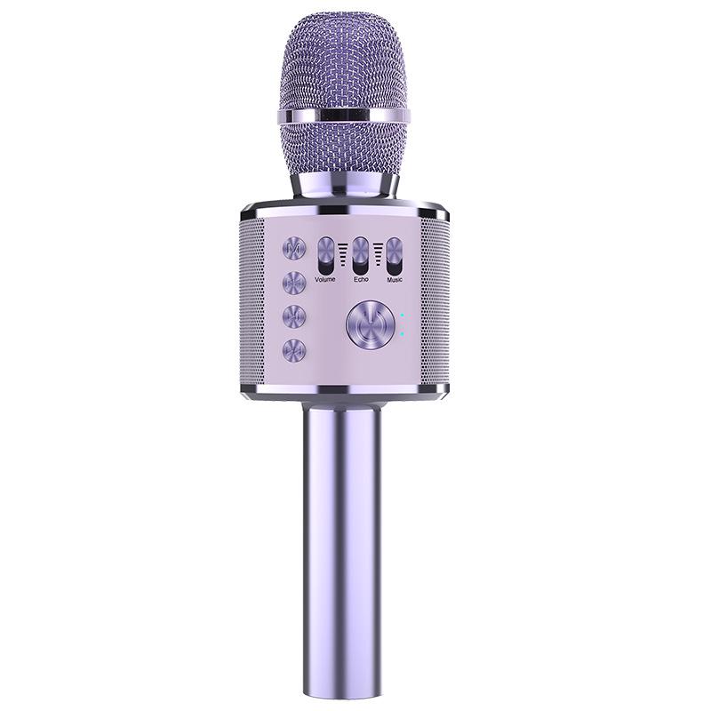 Wireless Home Karaoke Microphone for Kids with Built-in Speaker