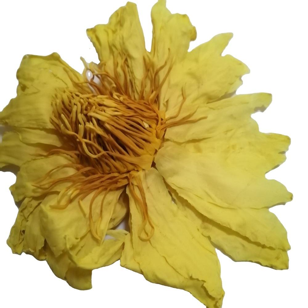 Natural Herbal Yellow Lotus Tea 500g Detox Energy Boost for Men Women